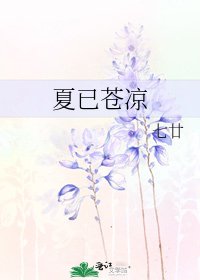 夏已苍凉